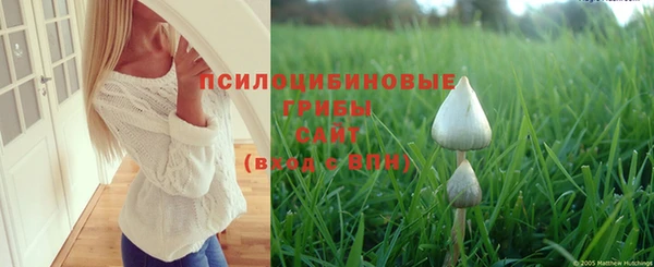 дживик Наволоки