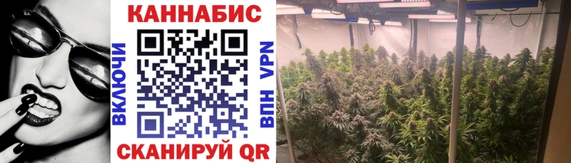 Канабис Bruce Banner  Красково 